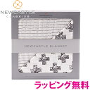 正規品 ラッピング無料 ニューキャッスルクラシックス NEWCASTLE CLASSICS バンブーブランケット Nordic Cross & Pencil Stripe おくるみ あす楽対応