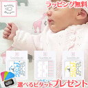 ＼全商品10倍！／レビューでプレゼント 送料無料 スワドルデザインズ Swaddle Designs スワドルライト おくるみブランケット 3枚セット【ナチュラルリビング】