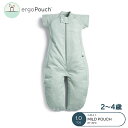 2～4歳向け ergoPouch エルゴポーチ スリープスーツバッグ 2～4歳 セージ Sleep Suit Bag 1.0 TOG ZEPSS-1.0T 巻かないおくるみ スワドル オーガニックコットン スリーパー 夜泣き あす楽対応【ナチュラルリビング】