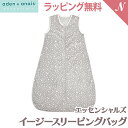 楽天ナチュラルベビー Natural Baby＼更に4倍＋400円クーポン！／【日本正規品】【ラッピング無料】 エイデンアンドアネイ エッセンシャルズ aden+anais essentials ミンキー イージー スリーピングバッグ 0～6か月 ウィンタースカイ スリーパー 寝冷え防止 あす楽対応