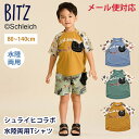 F.O正規販売店 BIT'Z ビッツ シュライヒコラボ 水陸両用 Tシャツ カーキ/ブルー/マスタード 水陸両用 半袖 アウトドア 水遊び キッズ FOインターナショナル