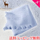 正規品 送料無料 G.H.HURT&SON ジーエイチハートアンドサン Soft Lacy Baby Shawl ソフトレースショール ブルー ベビーショール おくるみ ロイヤルベビー あす楽対応【ナチュラルリビング】