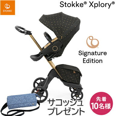  ڥȥåꥸʥ륵å ץ쥼ȡ ȥåŹ 3ǯĹݾ ȥå ץ꡼å STOKKE XPLORY X ͥ㡼 ֥å ٥ӡ ȥ顼 6 б