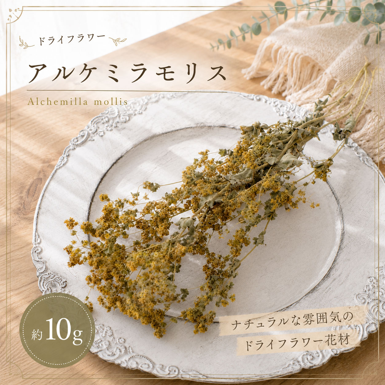 アルケミラモリス ドライフラワー 約10g 花材 小花 ナチュラル イエローグリーン ...