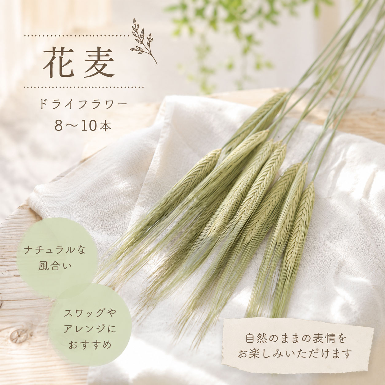 乐天商城 - 花麦 ドライフラワー 8〜10本セット｜ナチュラルグリーン 麦 穂物 花材 スワッグ ブーケ リース インテリア 撮影小物