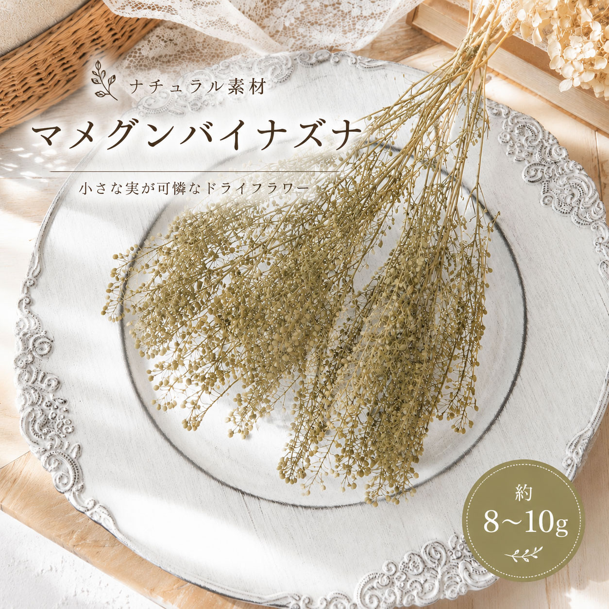 乐天商城 - 【ドライフラワー】マメグンバイナズナ ナチュラルグリーン 約8〜10g｜花材 小花 実もの スワッグ リース レジン キャンドル ハンドメイド