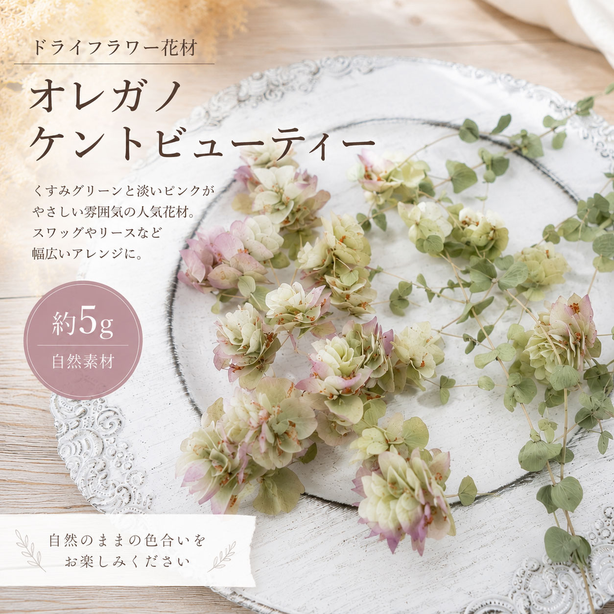 オレガノ ケントビューティー 約5g ドライフラワー 花材 ｜くすみグリーン×淡いピ...