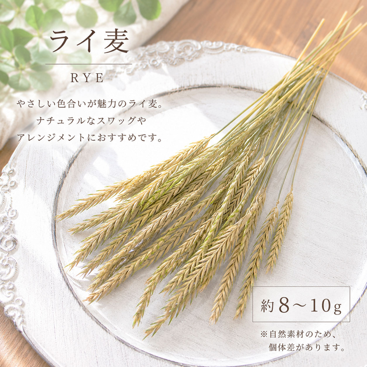 乐天商城 - ライ麦 ドライフラワー 約8〜10g 花材 ナチュラル 麦 スワッグ リース ブーケ アレンジメント インテリア ハンドメイド 資材