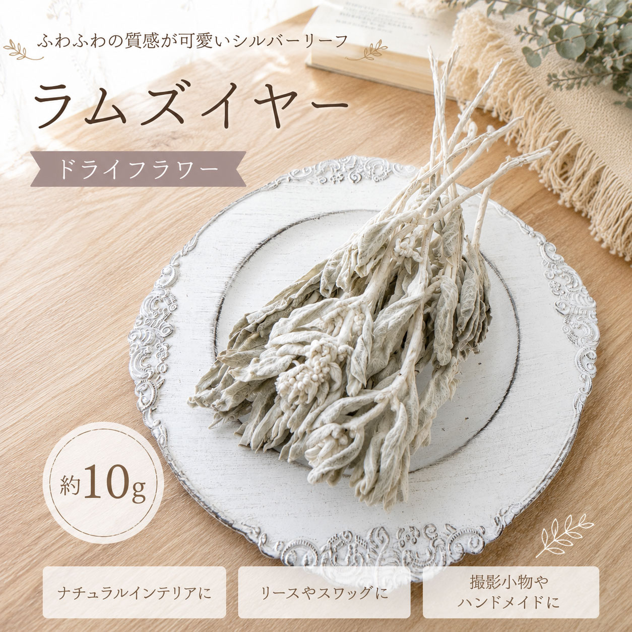 乐天商城 - ラムズイヤー ドライフラワー 約10g シルバーリーフ 花材 リース スワッグ ハンドメイド ナチュラル インテリア