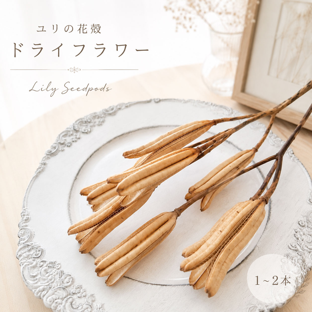 ユリの花が咲き終わった後にできる、個性的で美しい花殻をドライフラワーにしました。 細長く開いたフォルムはまるでオブジェのような存在感があり、 ナチュラル・韓国風・アンティークテイストのインテリアとも相性抜群。 そのまま一輪挿しに飾るだけでも絵になり、スワッグやリース、 フラワーアレンジメントのアクセントとしてもお使いいただけます。 自然素材ならではの優しいベージュカラーと繊細な質感が、 お部屋に落ち着いた雰囲気を演出してくれます。 他のドライフラワーや木の実、ユーカリなどと組み合わせることで、 よりナチュラルでおしゃれなアレンジをお楽しみいただけます。 おすすめ用途 ・ドライフラワーアレンジメント ・スワッグ制作 ・リース制作 ・ハンドメイド作品の素材 ・インテリアディスプレイ ・撮影小物、スタイリング素材 ・店舗装飾 商品内容 花材名：ユリの花殻（ドライフラワー） サイズ：約30～35cm前後 内容量：1～2本 状態：ドライフラワー ご購入前にご確認ください ※自然素材のため、サイズ・形・色合いには個体差があります。 ※輸送中に多少の実落ちや欠けが生じる場合がございます。 ※画像はアレンジ例を含みます。花殻以外の花材や雑貨は付属いたしません。