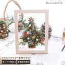 クリスマスツリー フレーム 制作キット | クリスマス Xmas ツリー 北欧 おしゃれ 卓上 キット 手作り 子供 工作 イベント ナチュラル 飾り 送料無料 プリザーブドフラワー ドライフラワー アレンジメント 簡単 プレゼント 新作 かわいい メール便