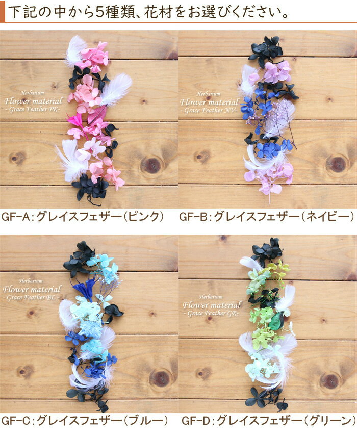 ��5��ʬ�ۡڥ��쥤���ե������ۥϡ��Хꥦ�� ���� ���åȡʥ�����1�ܡ����饹��5�ܡ��ֺॻ�å�5����� ��ʪɸ�� �뺧 �������������å� �鿴�� �ץꥶ���֥� �ɥ饤�ե� �������ץ쥼��� �ֺ� ���ե� �ե����� ��