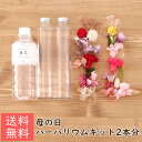 母の日 ハーバリウムキット 2本分 [ 花 母の日プレゼント ハーバリウム 植物標本 カーネーション ギフト 赤 ピンク おしゃれ オリジナル 手作り キット ...