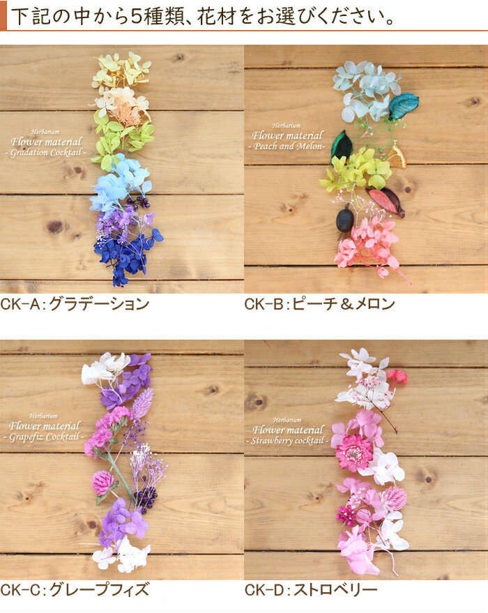 ��5��ʬ�ۡڥ����ƥ�ۥϡ��Хꥦ�� ���� ���åȡʥ�����1�ܡ����饹��5�ܡ��ֺॻ�å�5����� ��ʪɸ�� �뺧 �������������å� �鿴�� �������ץ쥼��� �ֺ� ���ե� �����ƥ� ���� ��� ����Ź ���ե� �����