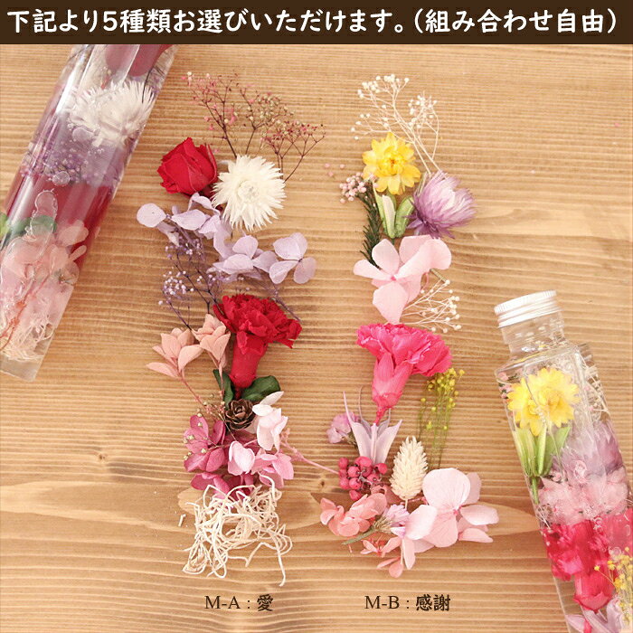母の日 ハーバリウムキット 5本分 [ 花 母の日プレゼント ハーバリウム 植物標本 ...