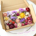 ドライフラワー 詰め合わせ 花材セット MIX (オリジナルD) ヘリクリサム スターチス 千日紅 花材 セット 国産 花