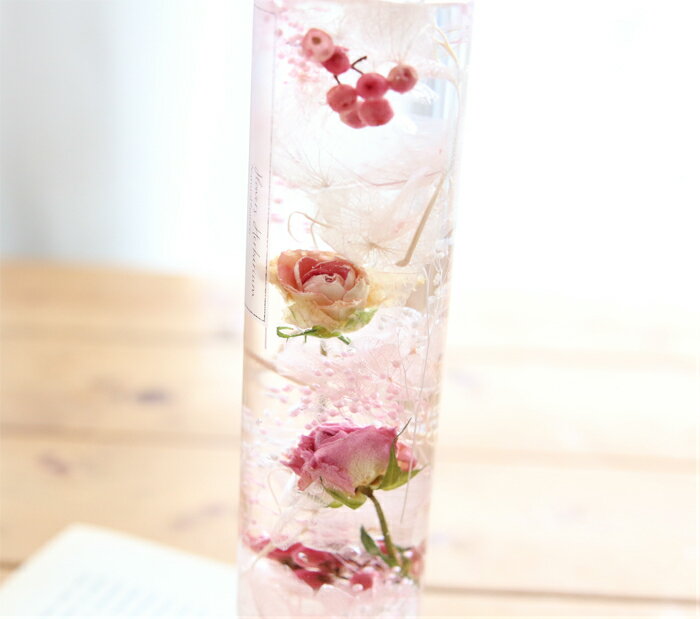 �ڥϡ��Хꥦ�� ���åȡۥϡ��Хꥦ�� �ֺ� ���å�1��ʬ�ʥե��ߥ˥�������� ���ꥸ�ʥ� �ϡ��Хꥦ�� ��ʪɸ�� ���쥬��� ���å� �������������å� ���� �鿴�� �ץꥶ���֥� �ɥ饤�ե� �������ץ쥼��� ����� �뺧 ��Ϸ���� ���ե� ��