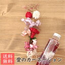 母の日 ハーバリウム 花材キット 1本分 （愛のカーネーション・プレミアム） [ 花 母の日プレゼント ハーバリウム 植物標本 カーネーション ギフト 赤 かわいい おしゃれ オリジナル 手作り キット 送料無料 ]の商品画像