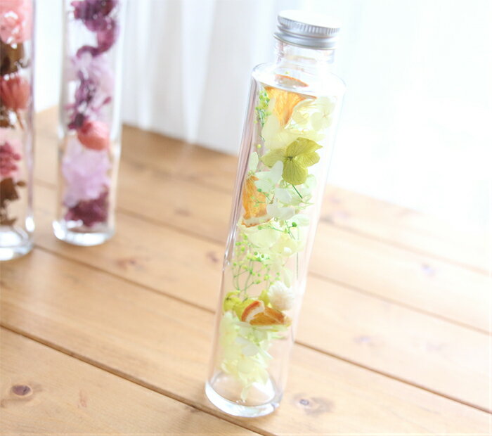 �ڥϡ��Хꥦ�� ���åȡۥϡ��Хꥦ�� �ֺ� ���å�1��ʬ�ʥӥ��ߥ󥫥顼�� ���ꥸ�ʥ� �ϡ��Хꥦ�� ��ʪɸ�� �� ���� ���꡼�� �� ����� ���å� ���� �������� �������ץ쥼��� ���ե� �ե���å��� �������å� ���� ���٥�� ��������