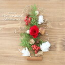 【ハーバリウム キット】 花材セット1本分 (クリスマスF) [ ゴールド シルバー クリスマス オリジナル 赤 レッド クリスマスツリー ツリー 花材キット ...