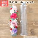 母の日 ハーバリウム 花材キット （華のカーネーション・プレミアム） 花材セット カーネーション ピンク カラフル かわいい キット 手作り 初心者 プリザーブドフラワー プレゼント ギフト 贈り物の商品画像