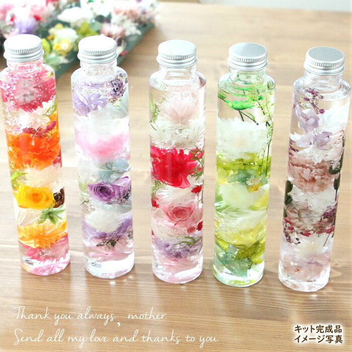 母の日 ハーバリウム 花材キット （華のカーネーション・プレミアム） 花材セット カーネーション ピンク カラフル かわいい キット 手作り 初心者 プリザーブドフラワー プレゼント ギフト 贈り物