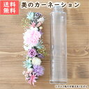 母の日 ハーバリウム 花材キット （美のカーネーション・プレミアム） 花材セット カーネーション ピンク スカイブルー パステル かわいい キット 手作り 初心者 プリザーブドフラワー プレゼント ギフト 贈り物の商品画像