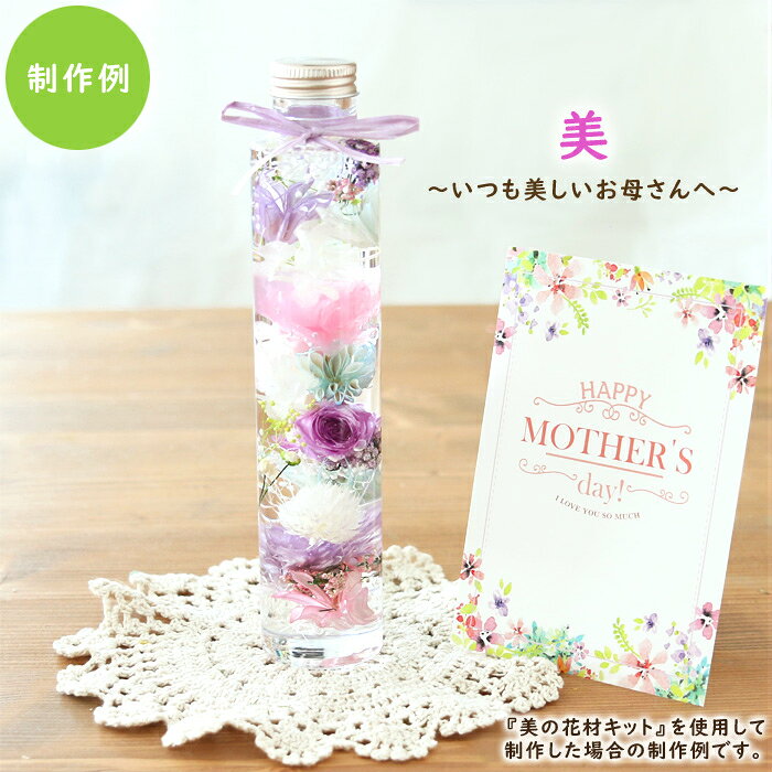 母の日 ハーバリウム 花材キット （美のカーネーション・プレミアム） 花材セット ...