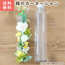 母の日 ハーバリウム 花材キット （穏のカーネーション・プレミアム） 花材セット カーネーション グリーン 癒やし 爽やか 穏やか かわいい キット 手作り 初心者 プリザーブドフラワー プレゼント ギフト 贈り物 その1