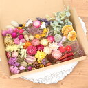 35種類 ドライフラワー バラエティセット 花材 【A5】| 結婚式 席札 リングピロー ウエディング ハンドメイド ワークショップ イベント フラワー教室 レ...