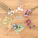 シルバーデージー&ドライフラワー 6種類セット 【A4】 | 結婚式 席札 リングピロー ウエディング ハンドメイド ワークショップ イベント フラワー教室 レ...
