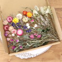 14種類のドライフラワー バラエティセット 花材 【A5】| 結婚式 席札 リングピロー ウエディング ハンドメイド ワークショップ イベント フラワー教室 レ...