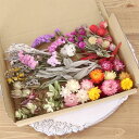 10種類のドライフラワー バラエティセット 花材 【A5】| 結婚式 席札 リングピロー ウエディング ハンドメイド ワークショップ イベント フラワー教室 レッスン 素材 材料 お花 オリジナル リース ハーバリウム カラフル ピンク オレンジ