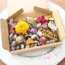 ドライフラワー 詰め合わせ 花材 セット ( ヘリクリサムYE ) 【 ハーバリウム レジン アロマ ハンドメイド キャンドル サシェ 母の日 国産 】