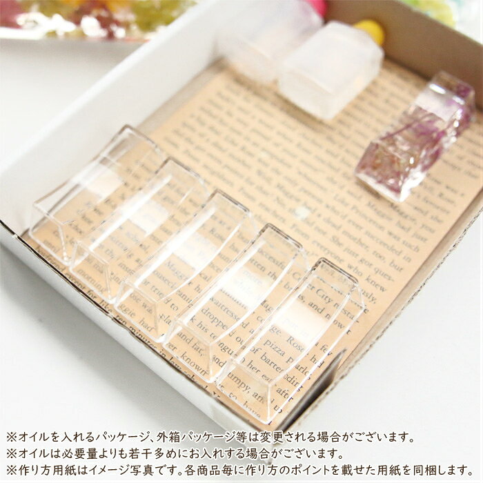＜固まるオイル＆作り方用紙付き＞ アクリル 箸置き キット （カーブ型） 【5点セ...