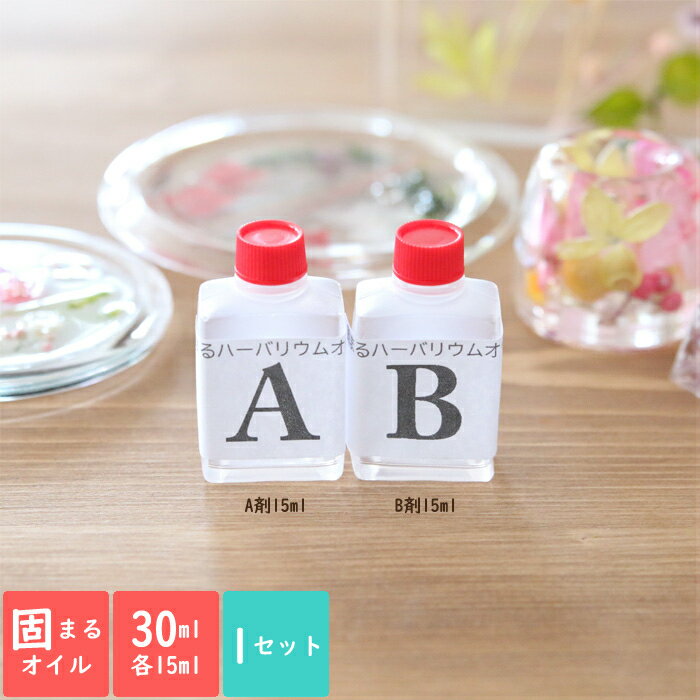 固まるハーバリウムオイル30ml （A剤15ml・B剤15ml） 