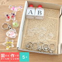 <固まるオイル&作り方用紙付き> アクリル キーホルダー キット (リンゴ) 【5点セット】 [ ハーバリウム レジン パーツ 土台 ベース 容器 透明 クリア...