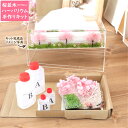 <メッセージシール無し> 【 桜並木 】 固まるハーバリウム ティッシュケース キット 【花材&制作マニュアル付】 ( さくら 桜 お花見 卒業 入学 就職 母...