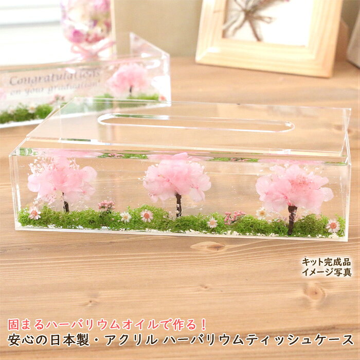 ＜メッセージシール無し＞ 【 桜並木 】 固まるハーバリウム ティッシュケース キ...