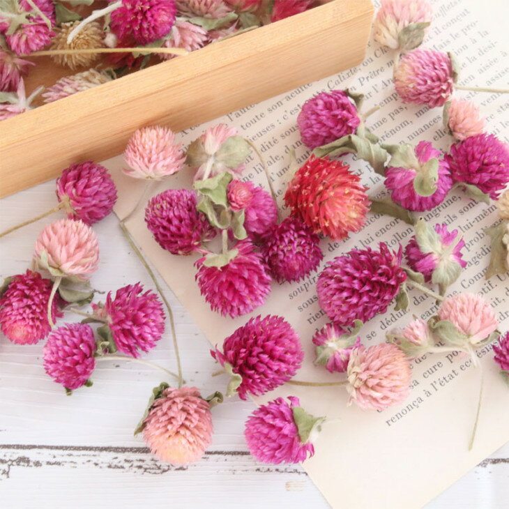 千日紅 ヘッド ミックスカラー 50輪 ドライフラワー 花材 ピンク 紫 白 お買い得 安い センニチコウ