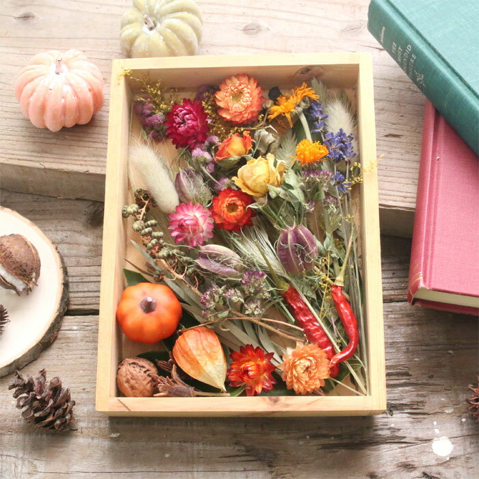 ドライフラワー ハロウィン 花材 セット 詰め合わせ 【A5】 プレゼント ハンドメイド 手作り 素材 材料 ハーバリウム リース ブッタナッツ フラワーアレンジメント ギフト 贈り物 イベント 花 ★花材のみ販売★