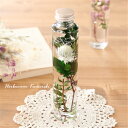 【完成品】 ハーバリウム(木漏れ日) 緑 グリーン プレゼント 敬老の日 自然 花 ギフト おとぎの国 植物標本 プレゼント 誕生日 母の日 敬老の日