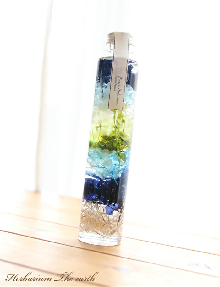ハーバリウム 地球 【完成品】 誕生日 EARTH 父の日 男性 プレゼント ギフト 花 ア...