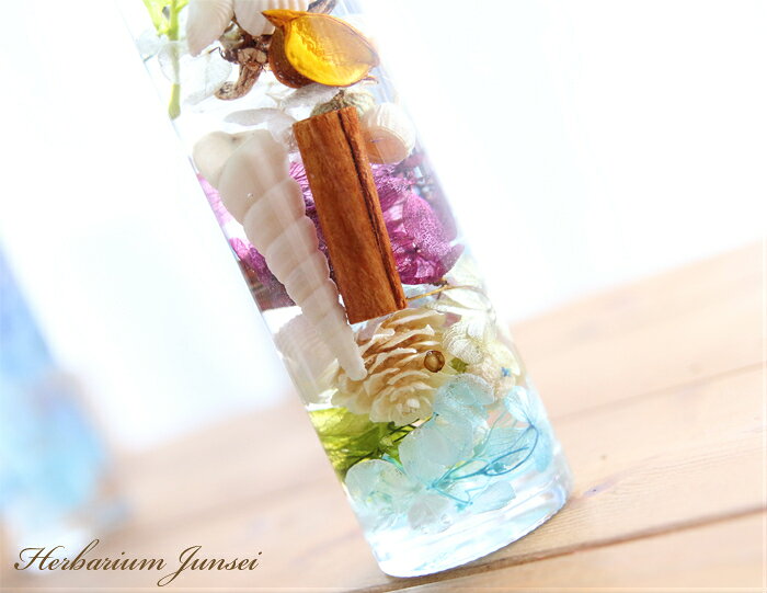 ハーバリウム ジュンセイ Junsei 【完成品】 グリーン 海 海底 貝 海辺 夏 サマー ...