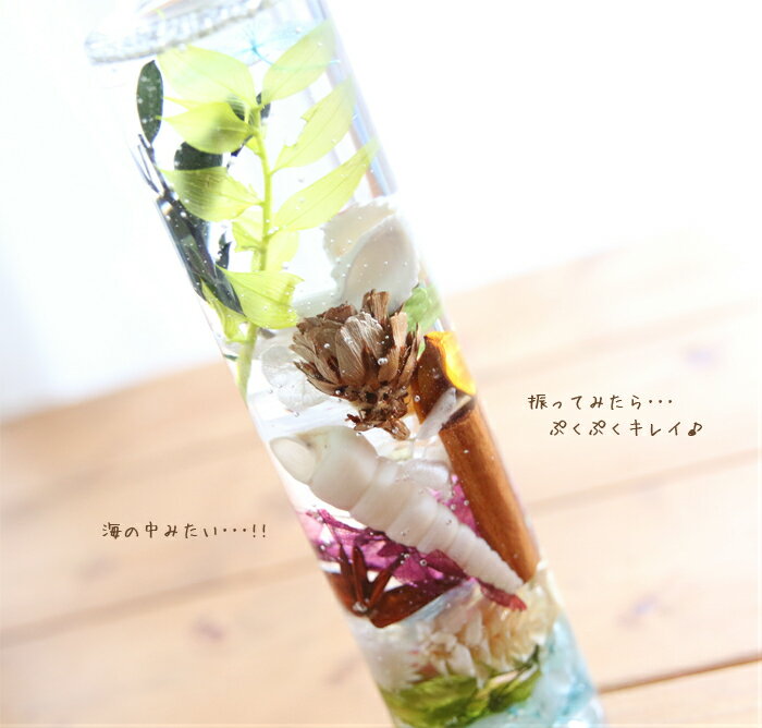 �ϡ��Хꥦ�� ����󥻥� Junsei �ڴ����ʡ� ���꡼�� �� ���� �� ���� �� ���ޡ� ������ ����� �ץ쥼��� ���ե� �� ����� �뺧�ˤ� �뺧 �������ץ쥼��� ��Ϸ���� �ե� ����