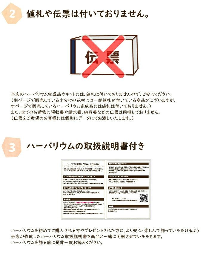 [ラッピング・カード付] 母の日 ハーバリウム完成品1本 （品のカーネーション・プ...