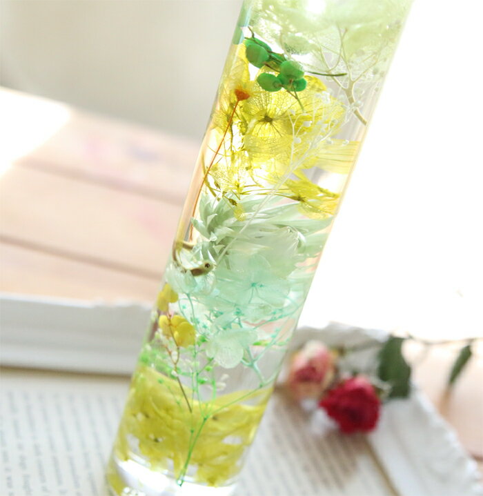 �ڴ����ʡ� �ϡ��Хꥦ�� �ץ�󥻥� ���꡼�� - Princess Green -