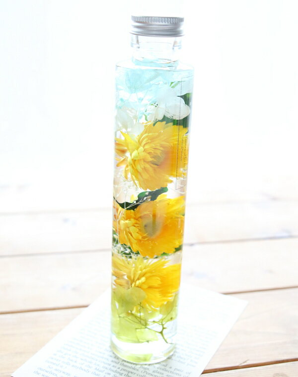 �ڴ����ʡ� �ϡ��Хꥦ�� �Ҥޤ�� - Himawari -