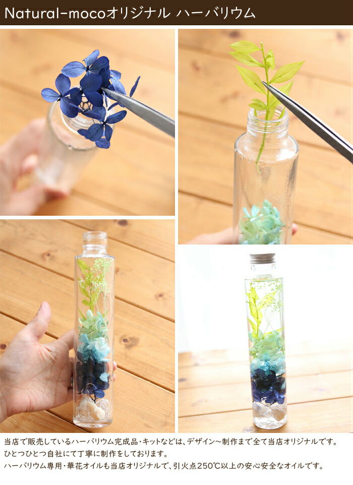 �ϡ��Хꥦ�� �ʥ饹���� �֥롼�ˡڴ����ʡ� �� �� �� ���� ������ �ץ쥼��� ���ե� �� ����� �뺧�ˤ� �뺧 �������ץ쥼��� ����� �� �� ���ޡ�