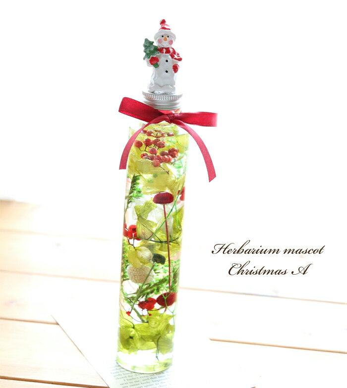 ハーバリウム クリスマスA（クリスマスPOP）完成品 クリスマス Herbarium クリスマスプレゼント ポップ 誕生日 プリザーブドフラワー ドライフラワー 植物標本 オリジナル ギフト